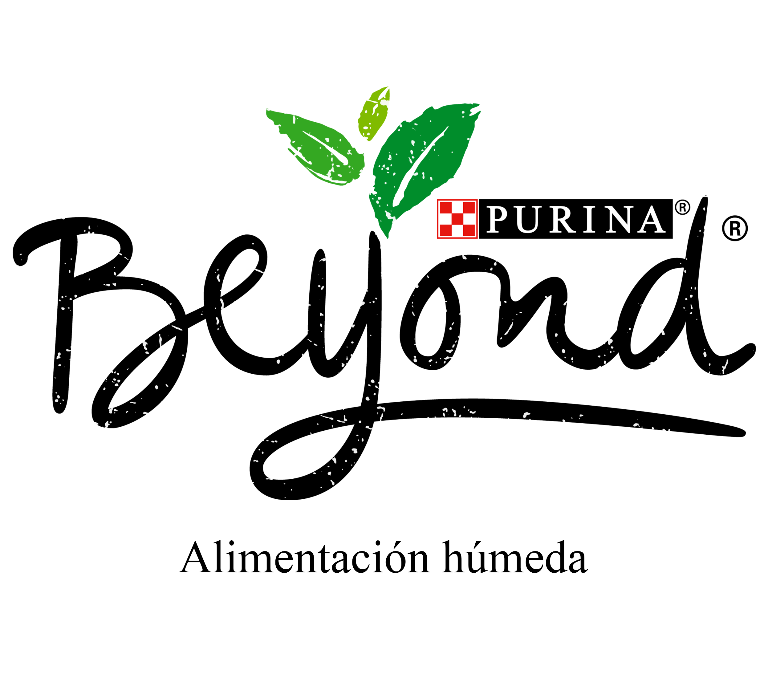 Purina beyond comida húmeda